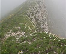 IMG_3782